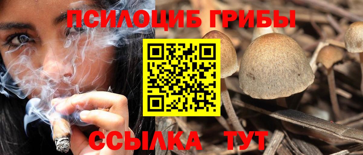 Строитель  Галлюциногенные грибы прущие грибы  Вход с VPN 