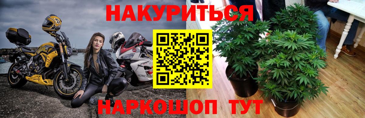 Канабис марихуана  Канабис White Widow  Строитель  Вход с VPN 